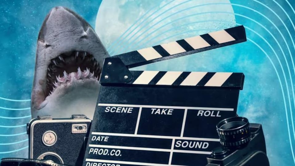 Un montage d'images montre un requin, une caméra, un clap de cinéma et une lune.