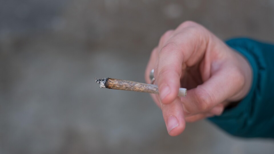 Un joint de cannabis