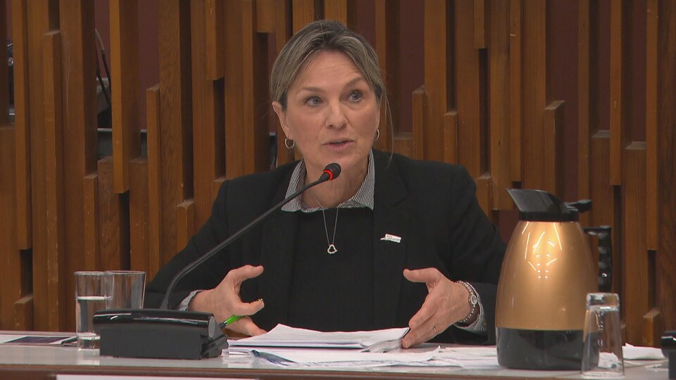 Josée Néron parle au micro à la table du conseil.