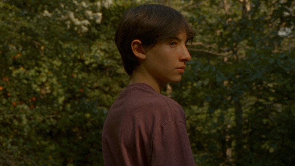A child, brown -haired, in profile in the forest.