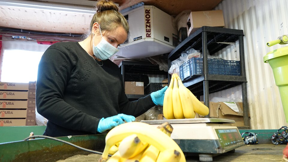 À l'intérieur d'une grange, la journaliste pèse des bananes sur une balance électronique.