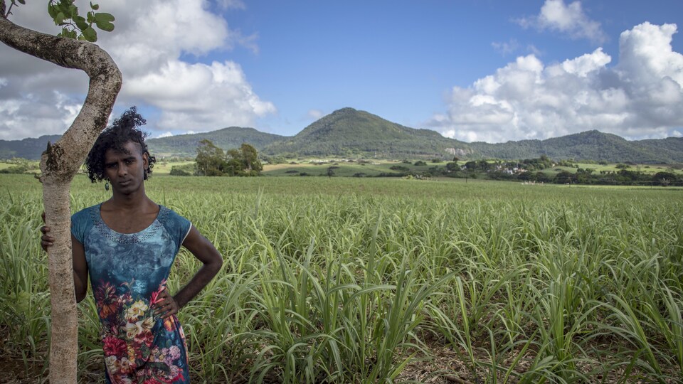 Une personne trans tient un arbre dans un immense paysage de l'île Maurice avec des montagnes et des plantes. 