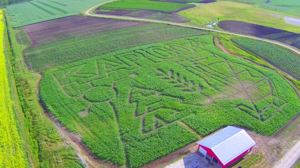 Un labyrinthe vu des airs.