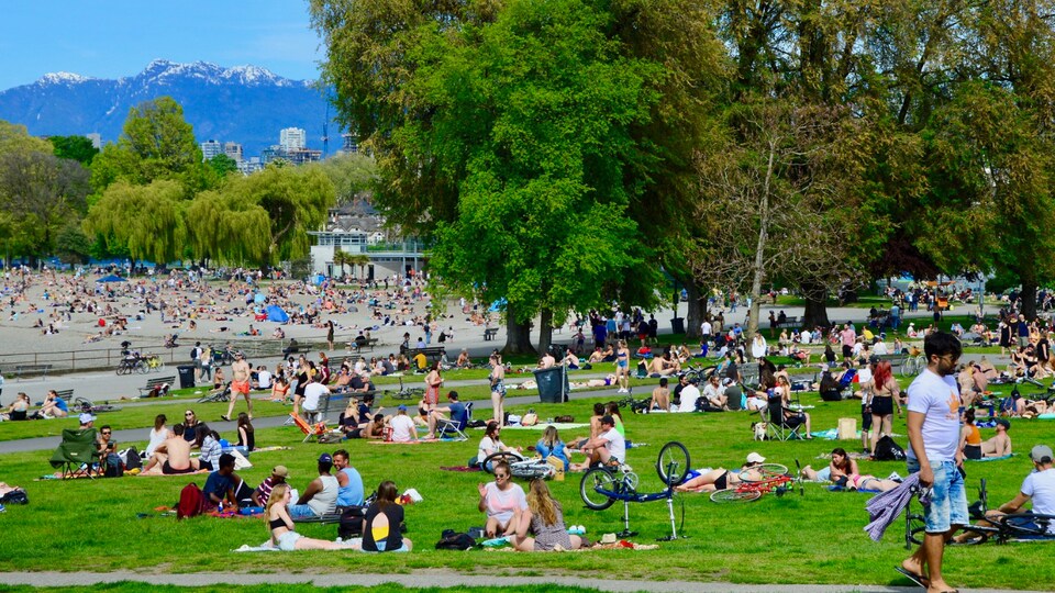Des gens se reposent sur l'herbe à proximité d'une plage.