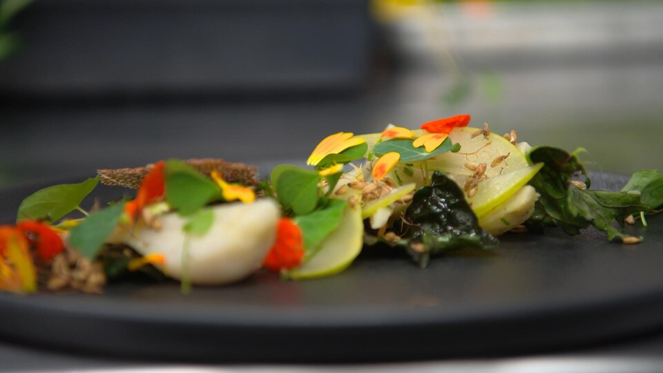 Des légumes en salade sur une assiette.