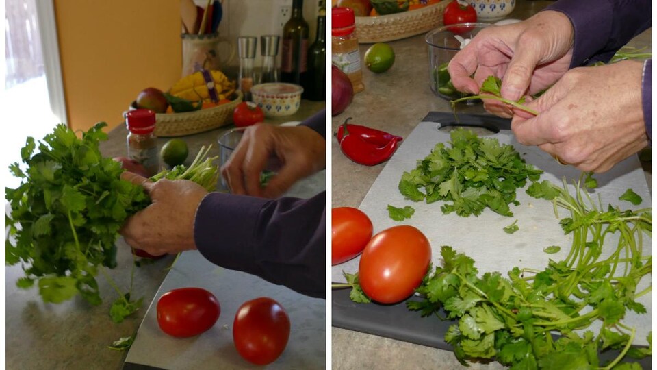 Vos Meilleures Recettes Franco-manitobaines : Le Pico De Gallo | ICI ...