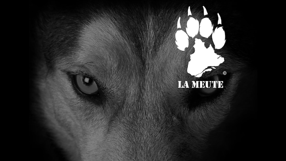 Le logo de La Meute