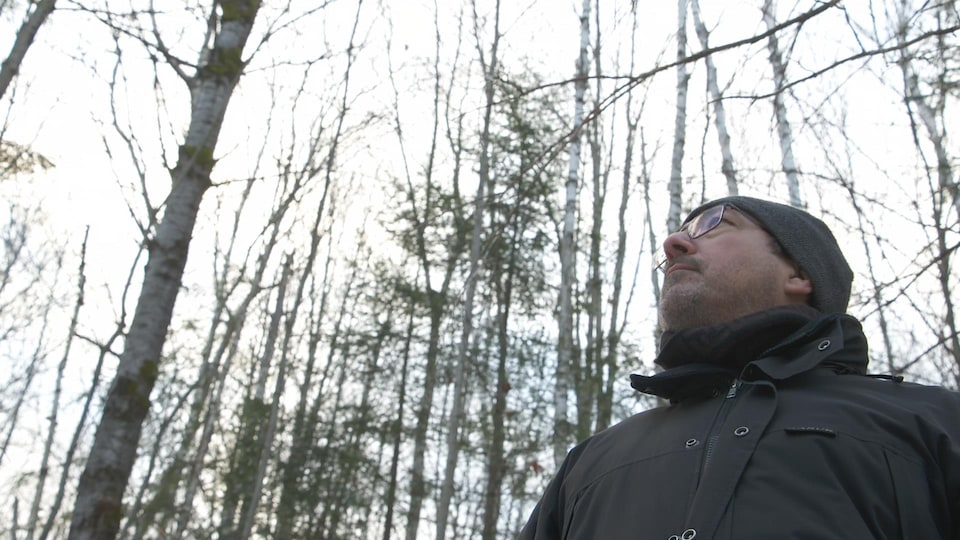 Christian Messier nous invite à bien choisir les essences d’arbres pour le reboisement.