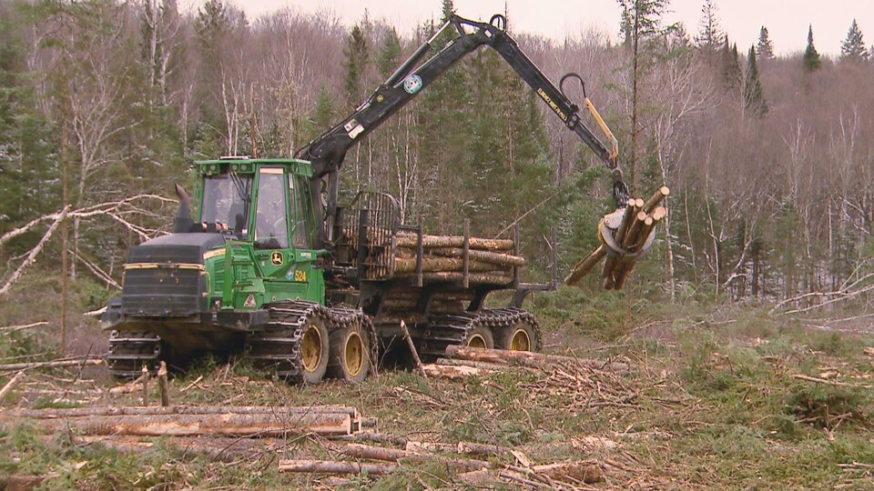 Une chargeuse de billots de bois à l'oeuvre en forêt.