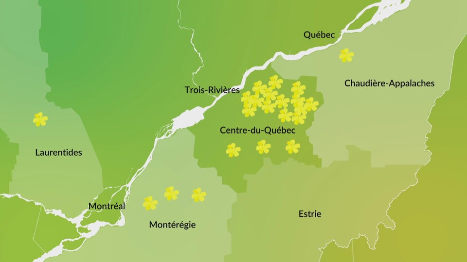 Image infographique représentant les endroits où des plants de moutarde aux oiseaux résistants ont été recensés.
