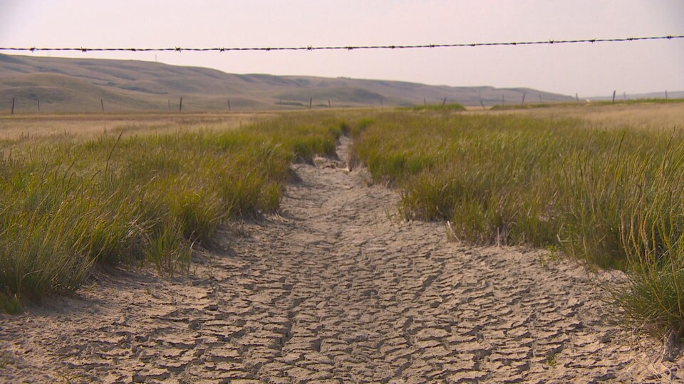 Le sol craquelé par la sécheresse ne réussit plus à emmagasiner l'eau qui tombe ensuite.