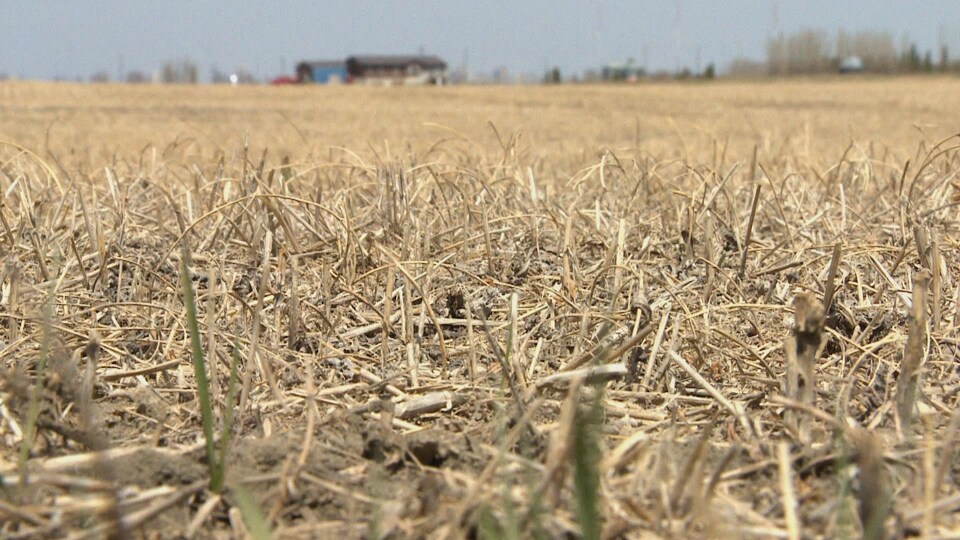 La canicule et la sécheresse de l'été 2021 ont été une catastrophe pour les fermiers et les éleveurs de bétail.
