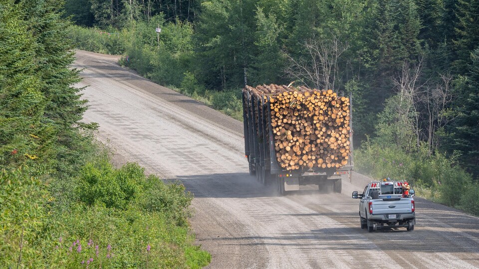 Un camion qui transporte des billots de bois est suivi par une voiture sur une route de gravier. 