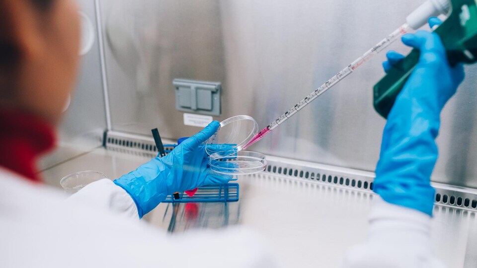 Une chercheuse travaille dans un laboratoire.