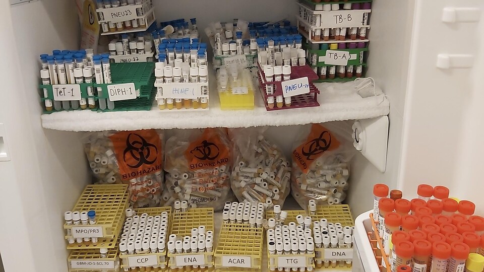 Des centaines d'éprouvettes encombrent des étagères gelées.