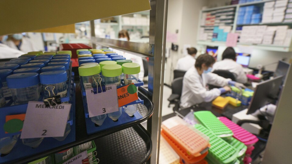 Un laboratoire où sont analysés des prélèvements pour le dépistage de la COVID -19. 