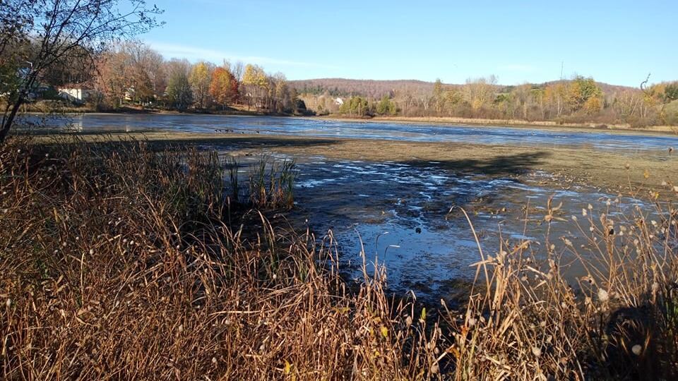 Le lac Adolphe de Dudswell presque à sec à la suite d’une décision de