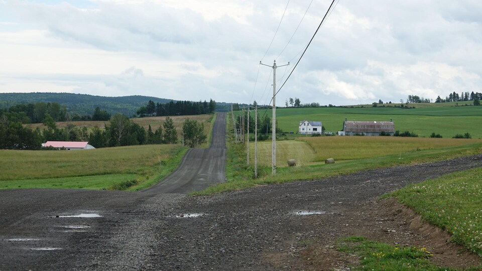 Une route traverse des champs avec des fermes.