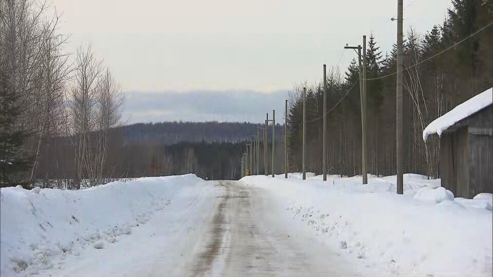 Des poteaux le long d'une route enneigée.