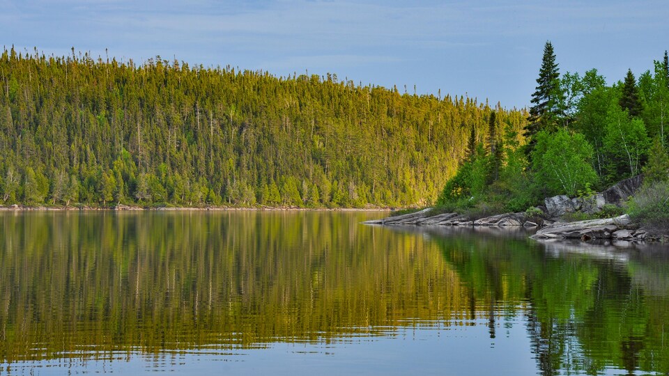 Un lac paisible avec la forêt boréale en arrière-plan.