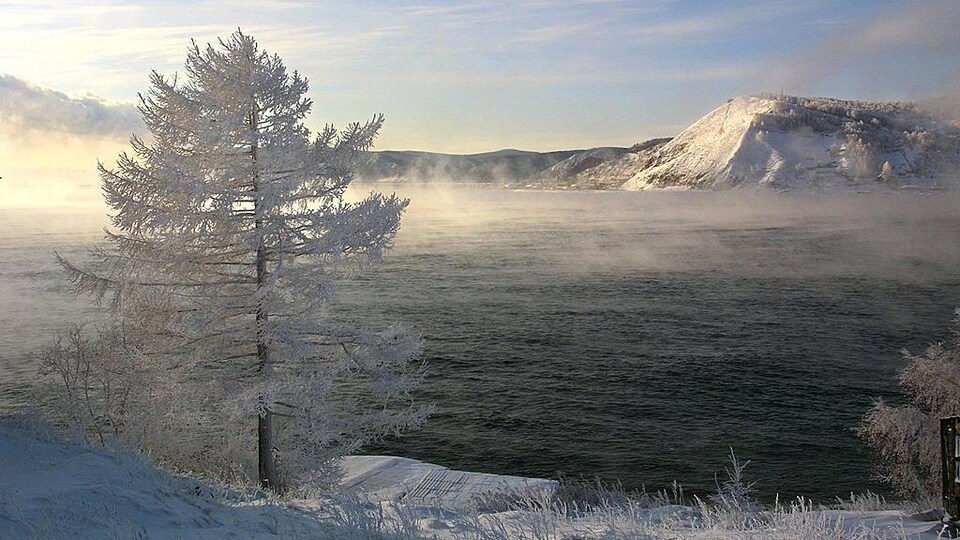 Un arbre gelé sur les rives du lac Baïkal.