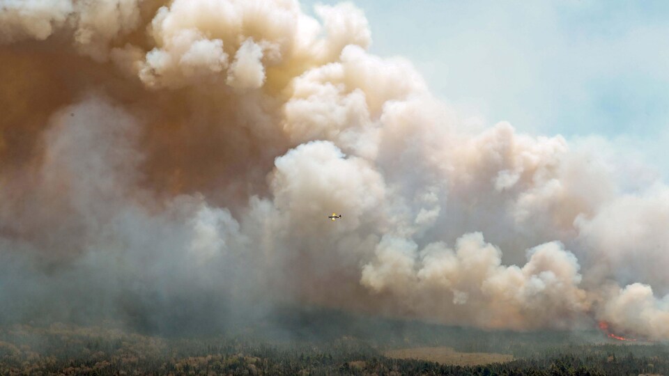 Un avion disperse un mélange d'eau et de produit ignifuge au-dessus de l'incendie du lac Barrington, en Nouvelle-Écosse.