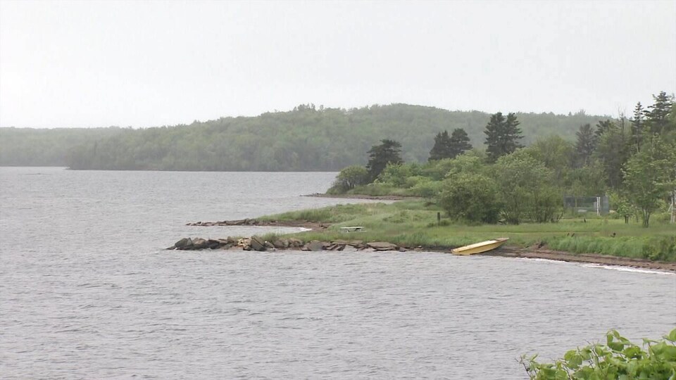 Un lac en été et une barque jaune sur le rivage.