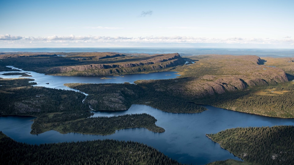 Vue aérienne sur un ensemble de lac et de forêts.