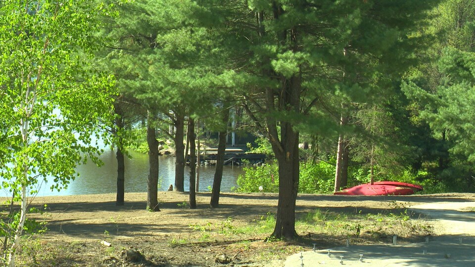 Un kayak est placé près d'un lac, aux abords d'une forêt.