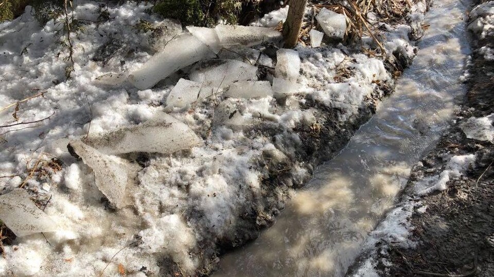 Un petit cours d'eau gelé traverse une terre boueuse et enneigée.