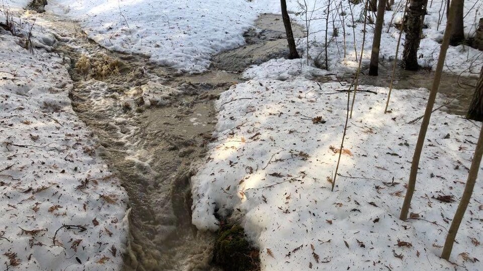 Un ruisseau d'eau traverse la neige dans un boisé.
