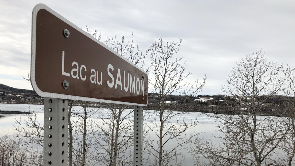 Slam et poésie à l’école LacauSaumon