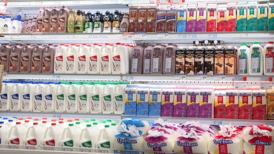 Différents laits sont offerts aux consommateurs.