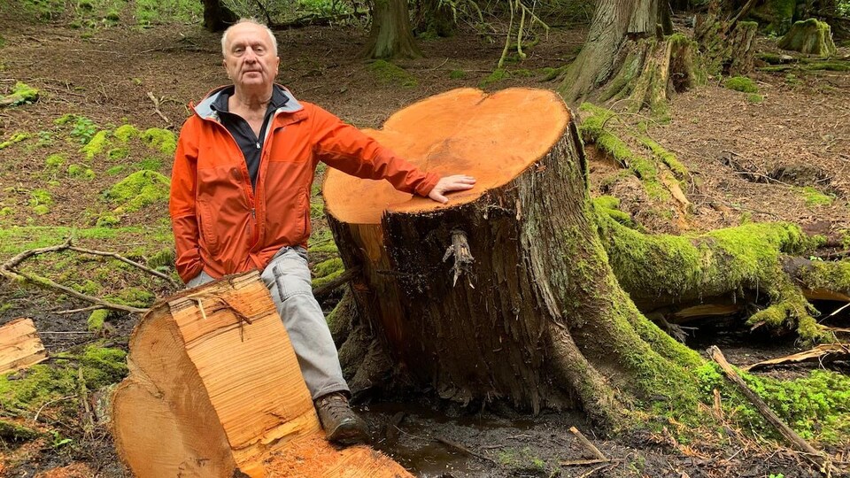 Un résident de North Cowichan, Larry Pynn, pose devant une souche d'arbre coupé.