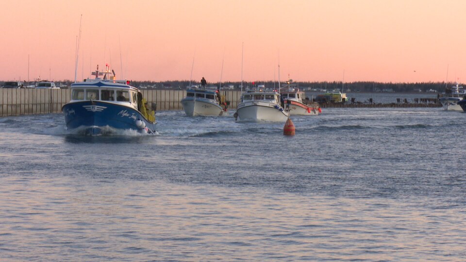 Quatre bateaux chargés de casiers de pêche se dirigent vers la sortie du havre.