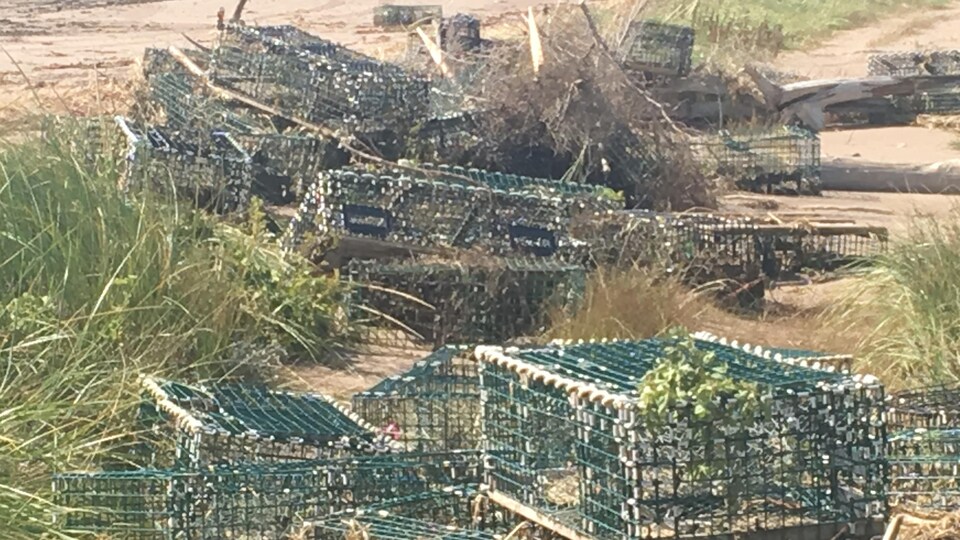 Des casiers à homards en désordre sur une dune.