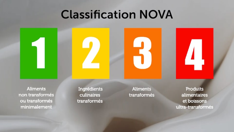 Les 4 catégories de la classification NOVA : aliments non transformés, ingrédients culinaires transformés, aliments transformés et produits alimentaires et boissons ultratransformés.