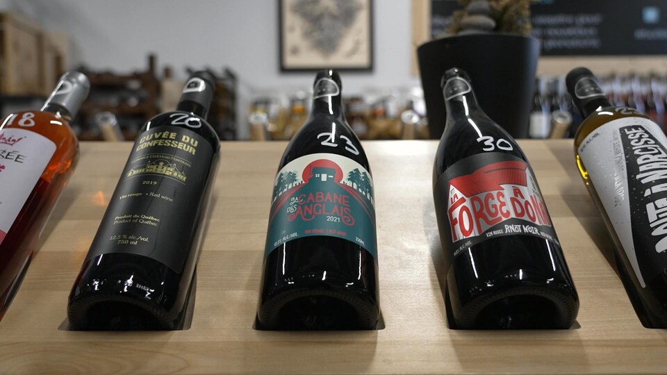 Des bouteilles de vin.