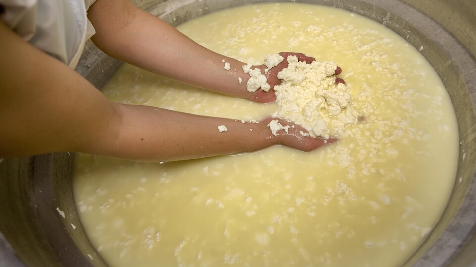 Un baril contenant du petit-lait et des morceaux de fromage.