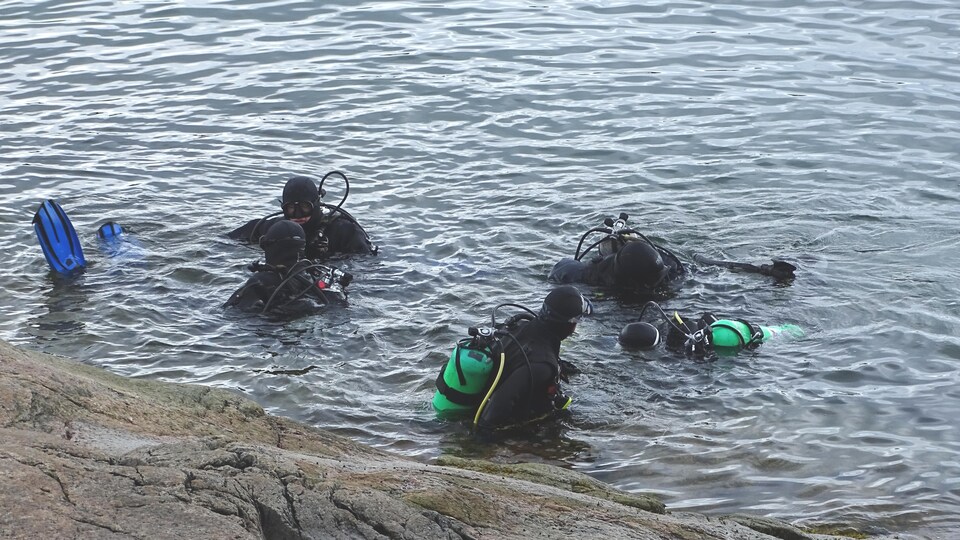 Transfert d'un rocher vers l'eau pour un groupe de plongeurs qui amorcent une plongée.