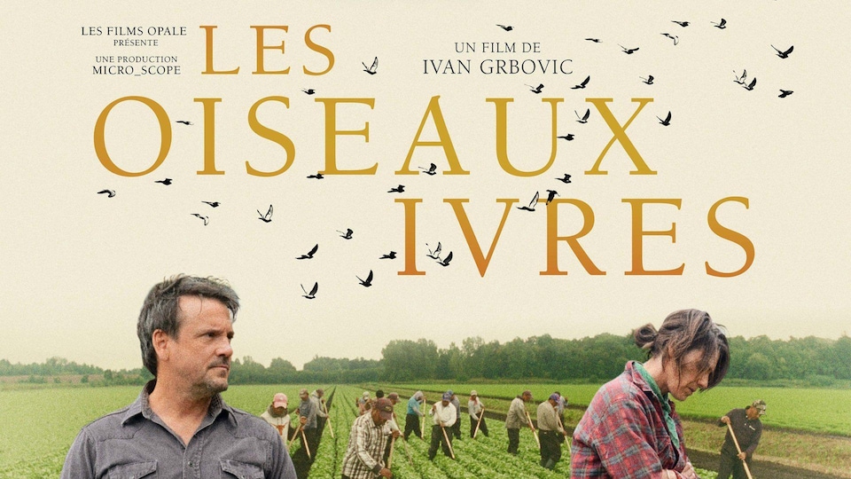 Affiche officielle du film Les Oiseaux Ivres.