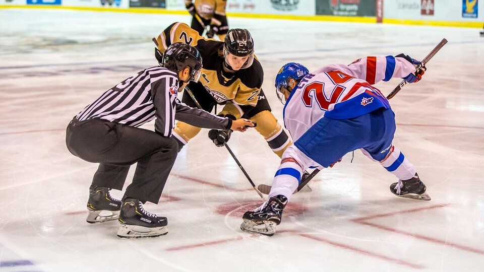 L'arbitre s'apprête à déposer la rondelle sur la glace pour la mise en jeu.