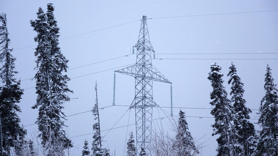 Des lignes électriques en hiver.