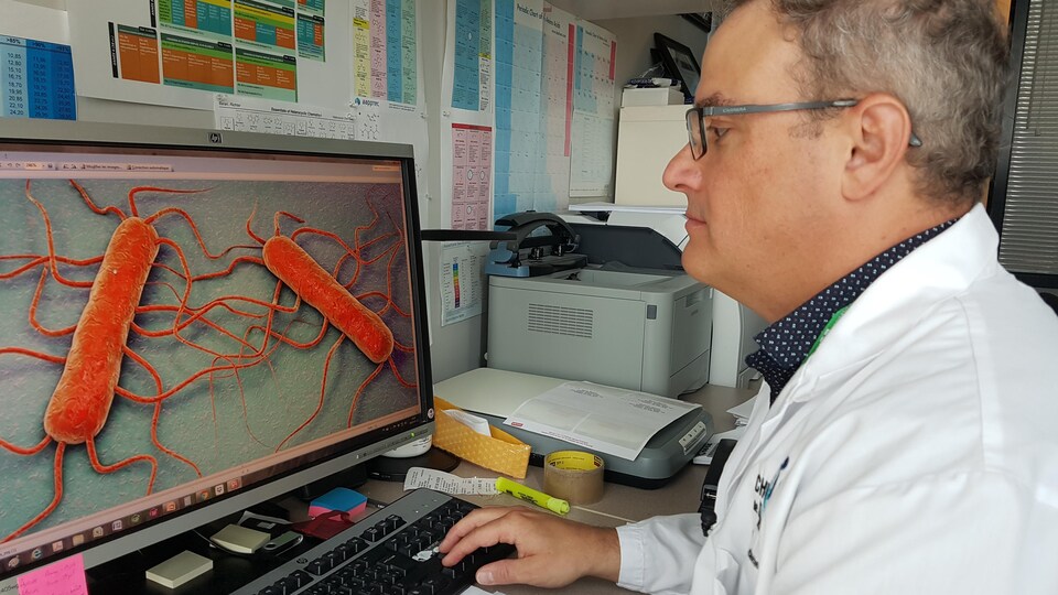Éric Biron regarde un écran d'ordinateur sur lequel on voit deux bactéries de couleur orange.