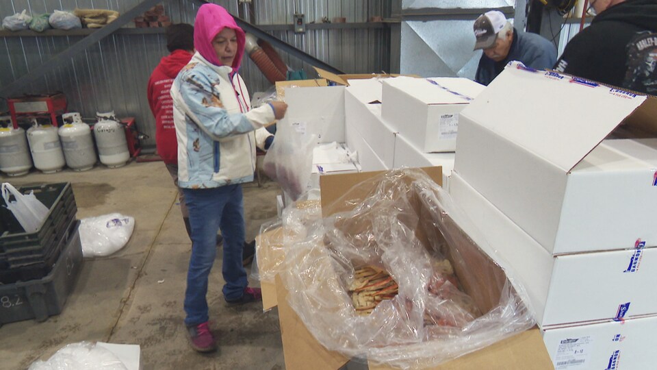 A person standing in front of boxes, one of which contains crab, is open.