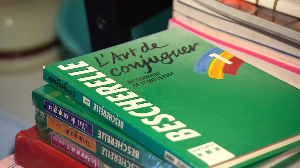 Une pile de Bescherelle. 