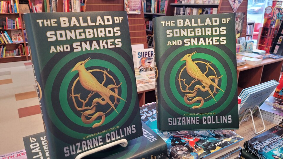 livres anglophones dans une librairie.
