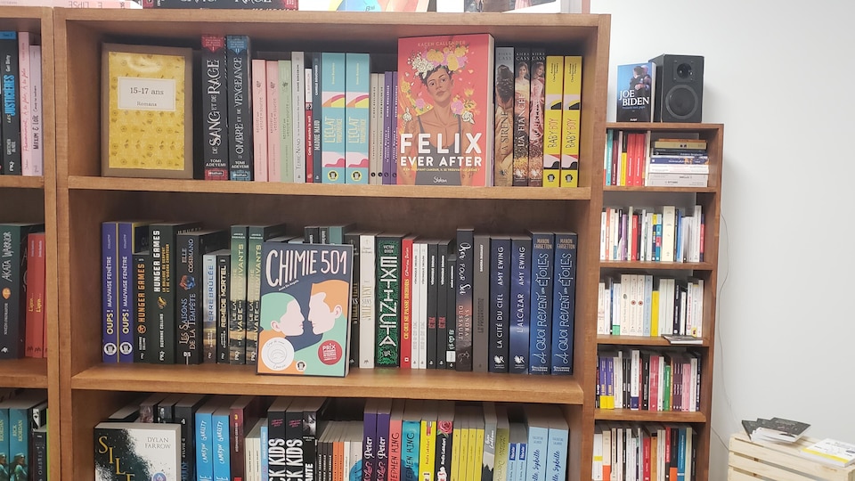 des livres dans une librairie.