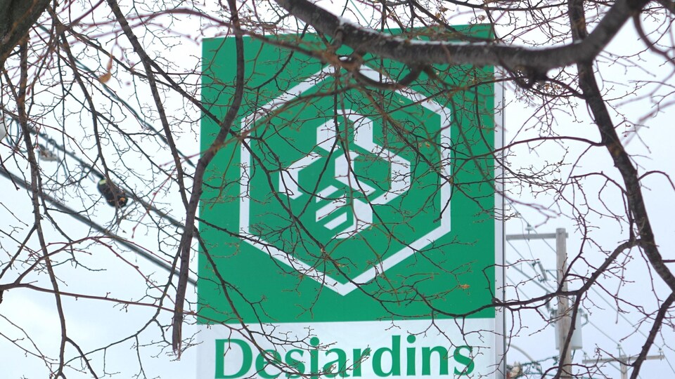 Fusion des 11 caisses populaires Desjardins de l'Ontario | Radio-Canada.ca