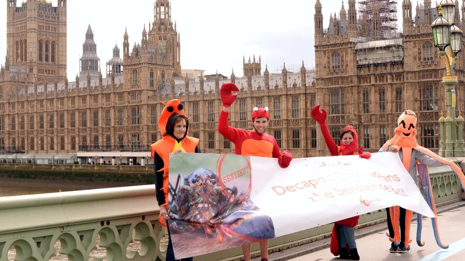 Des manifestants costumés en homard tiennent une grande bannière.